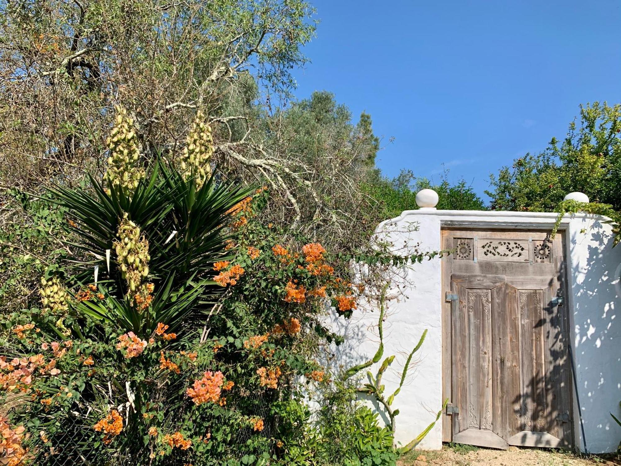 Casa Stardust & Cottages Quelfes エクステリア 写真